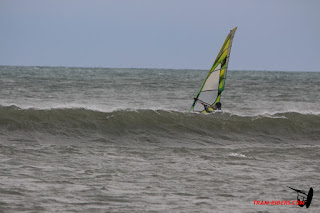 20150221Rouet007.JPG