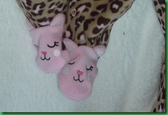 Kitty feet