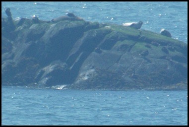 Liberty Point hike Campobello 303