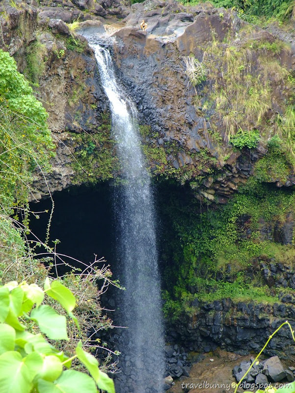 DSCF1608 DSCF1608