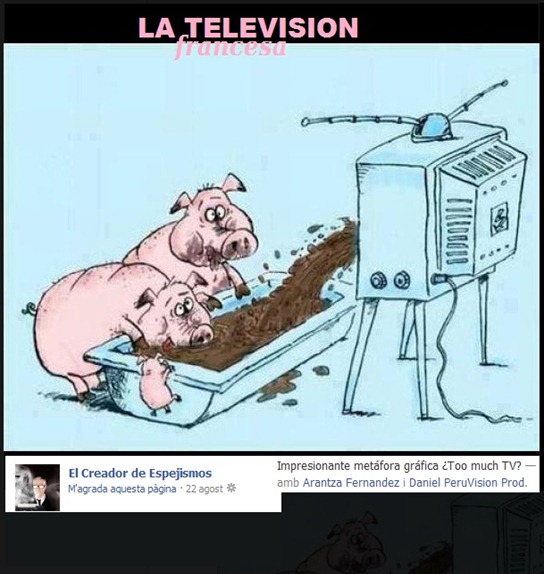 televiosion francesa