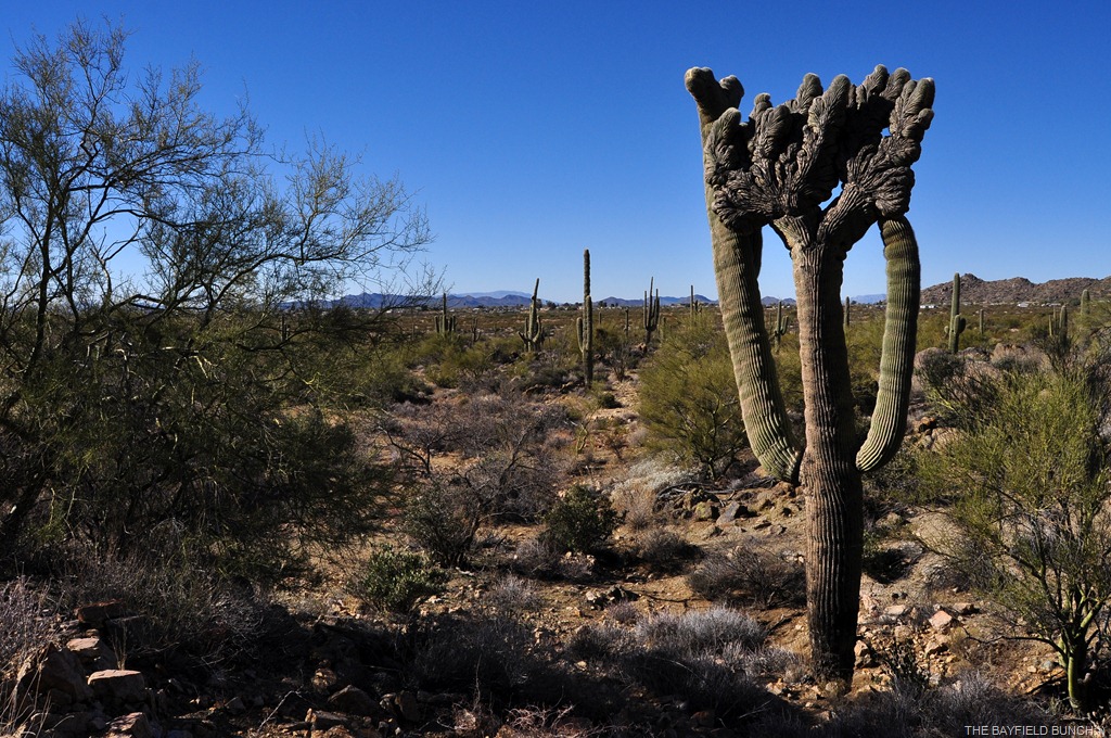 [DSC_0037%255B4%255D.jpg]