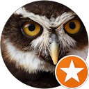 Restaurant La Chinoise