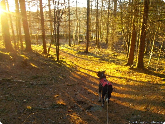 tony meehan heads off into the sunset