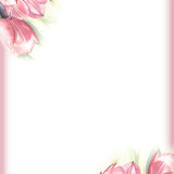 pi_tulipes.jpg