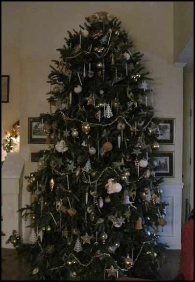 tree decorated