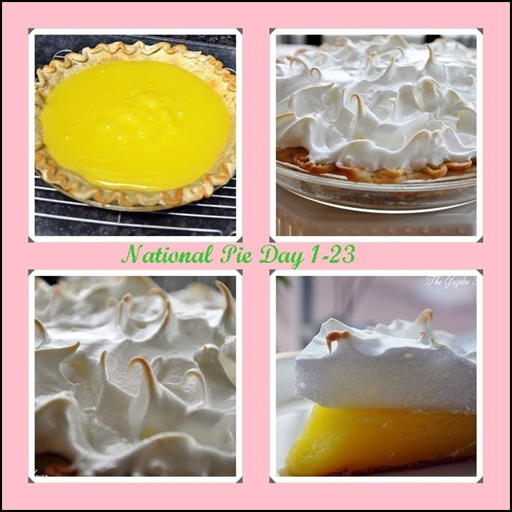 National Pie Day 1-23-11