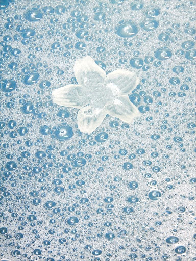 Ascw12599