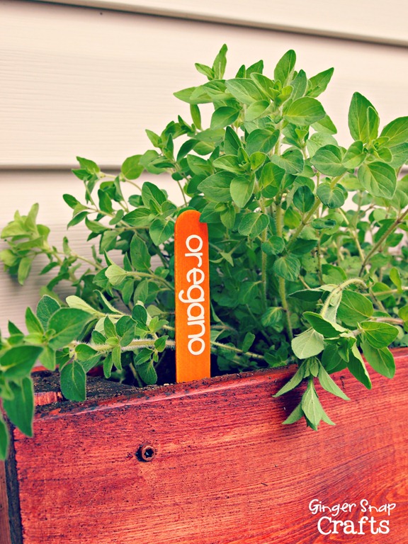 Ginger Snap Crafts Diy Herb Garden Tutorial Digin Ad Digin The Home Depot Heartoutdoors