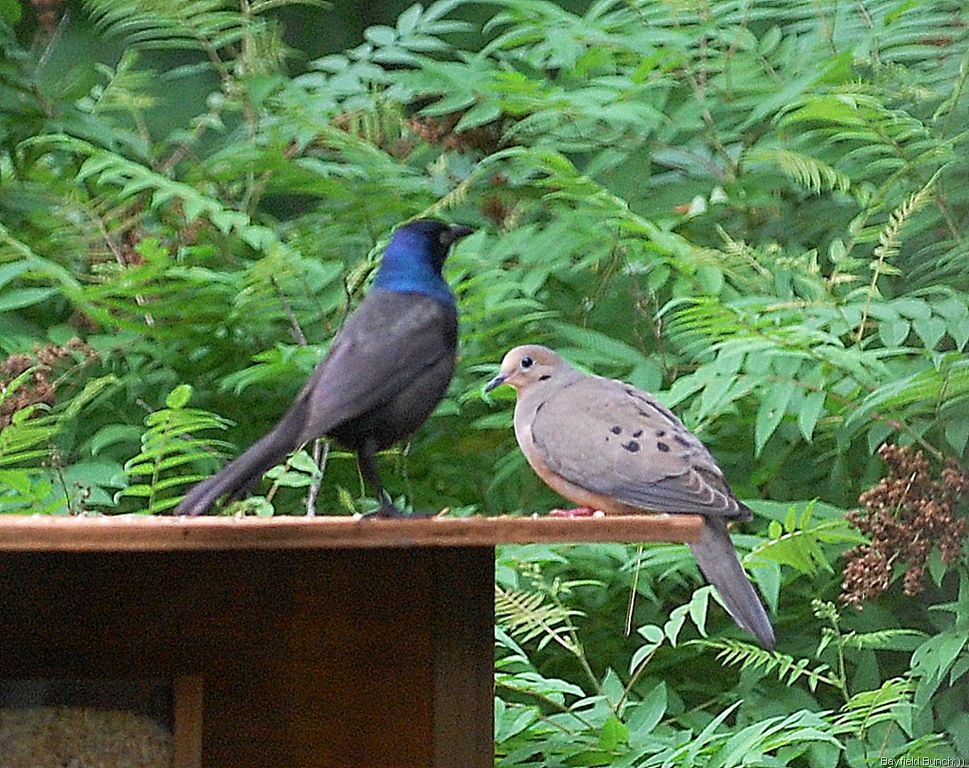 [DSC_3976%255B3%255D.jpg]