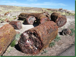 Painted Desert & Petrified Forest 291a