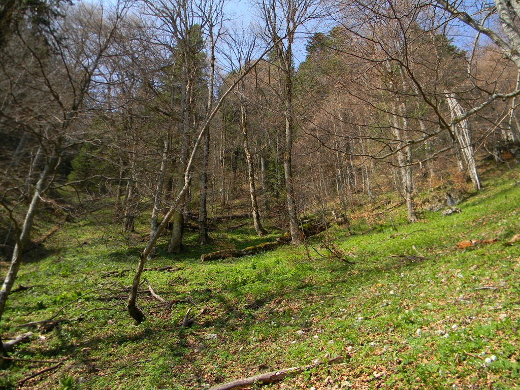 [DSCN75863.jpg]