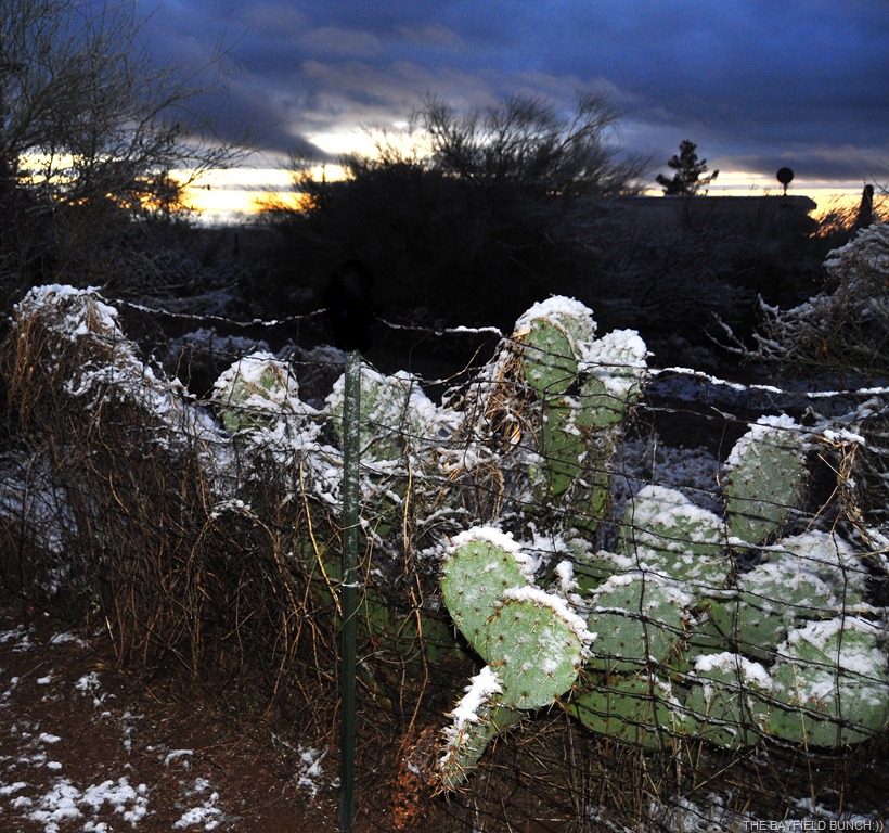 [DSC_0007%255B3%255D.jpg]