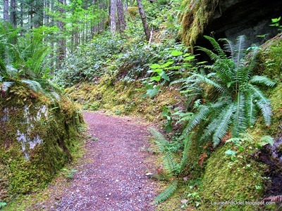 Gorge Chasm Trail