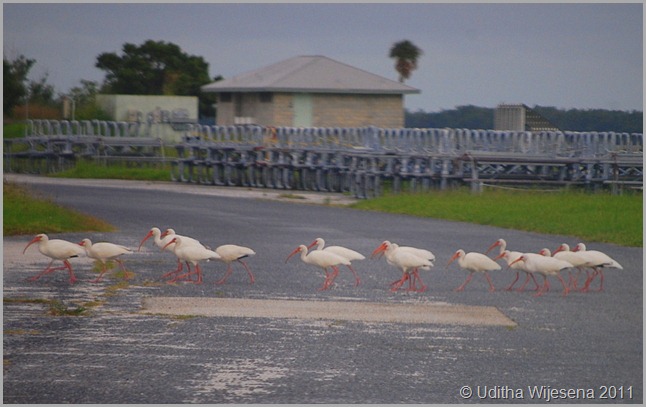 DSC_0101 DSC_0101