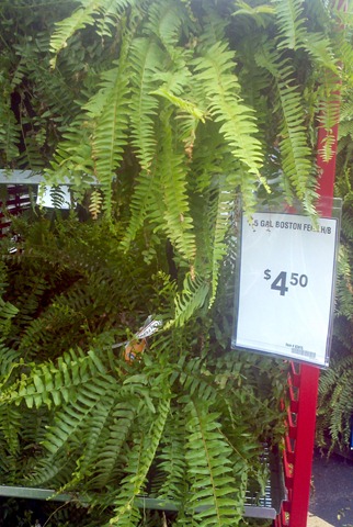 [2012-04-20_10-10-24_860%255B3%255D.jpg]