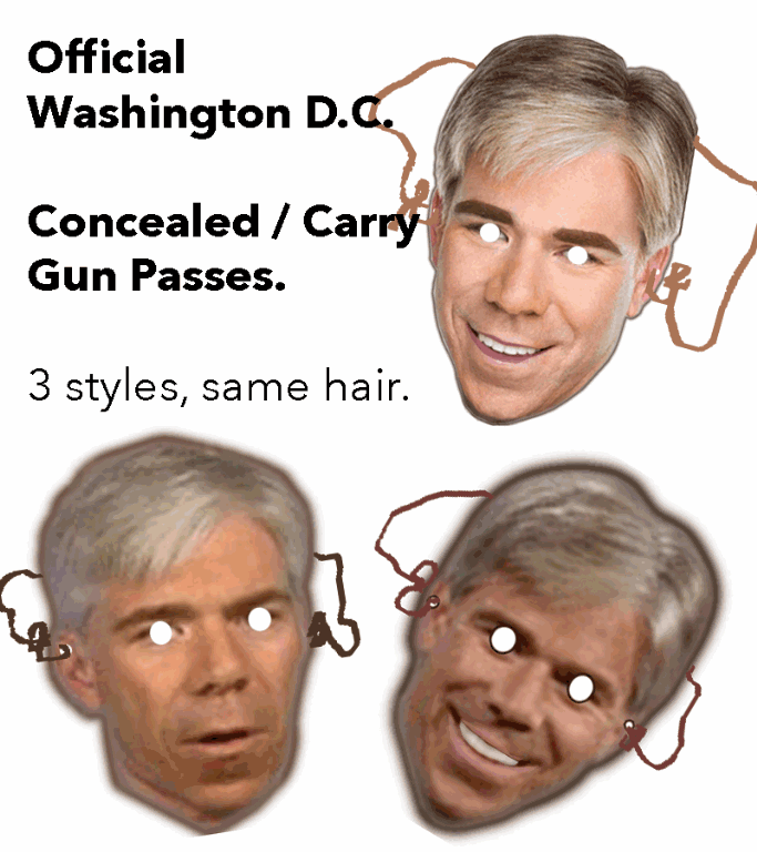 [david-gregory-concealed-carry-gun-passes%255B8%255D.gif]