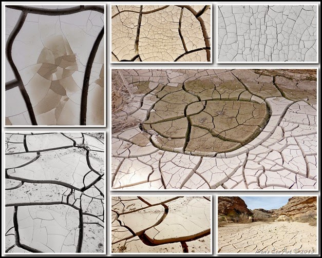 2015 Upper Pahranagat Wash 2015 Upper Pahranagat Wash