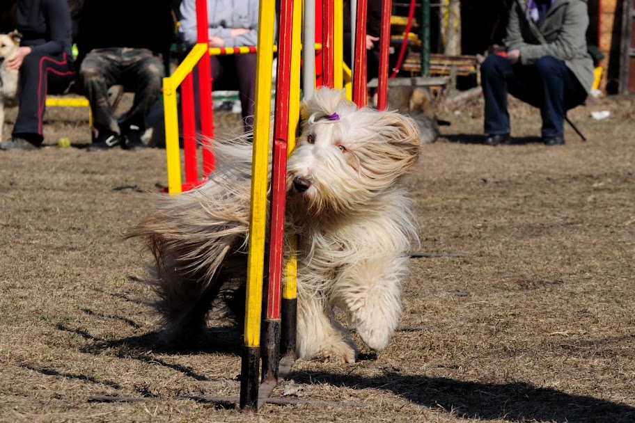 DSC_1334.jpg