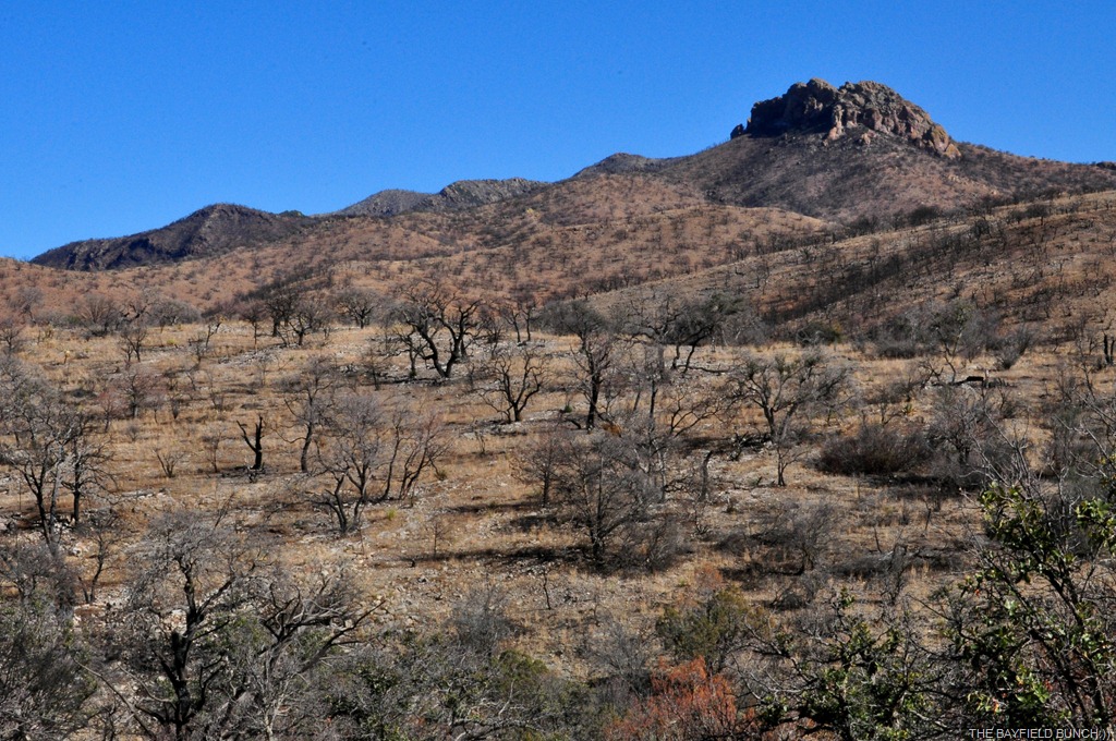 [DSC_0021%255B4%255D.jpg]