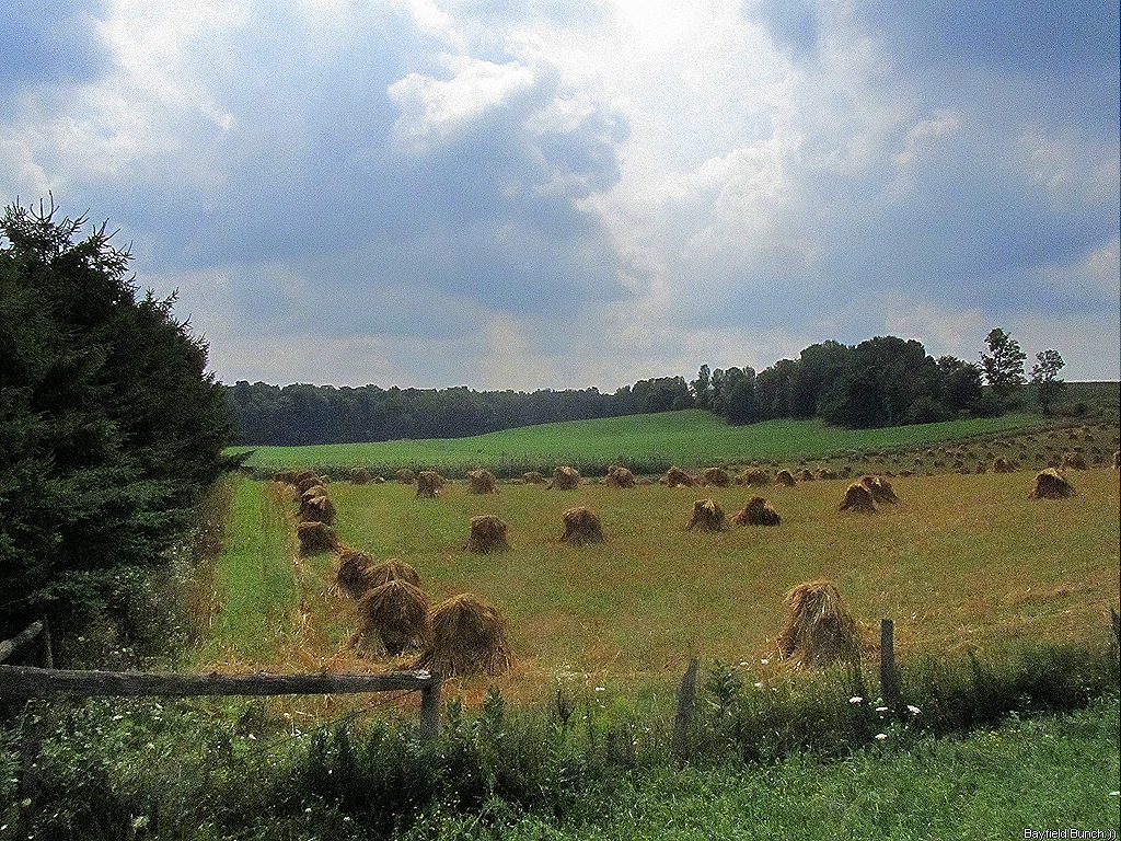 [IMG_0607%255B4%255D.jpg]