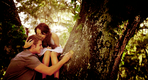 tumblr_lqlg78H4MT1qf3q4fo2_500.gif