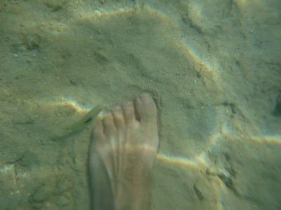 P1050240.JPG