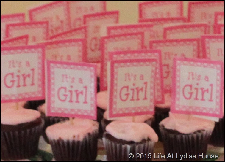 t's a girl cupcakes