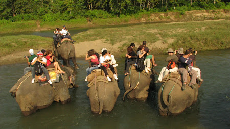 Safari pe elefant