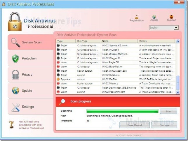 Disk Antivirus Professional