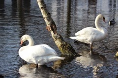IMG_1788