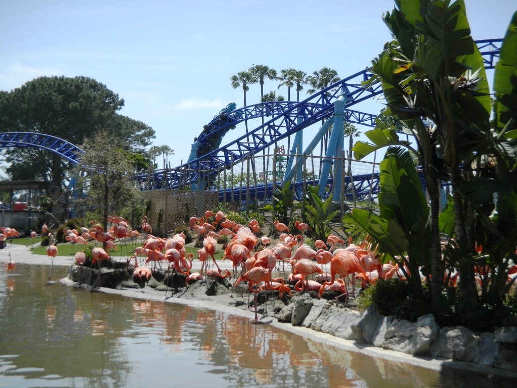 [DSCN4624%2520-%2520Kopie%255B4%255D.jpg]