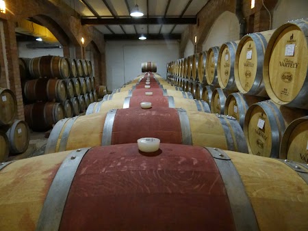 Drumul vinului -Basarabia: Crama Chateau Vartely