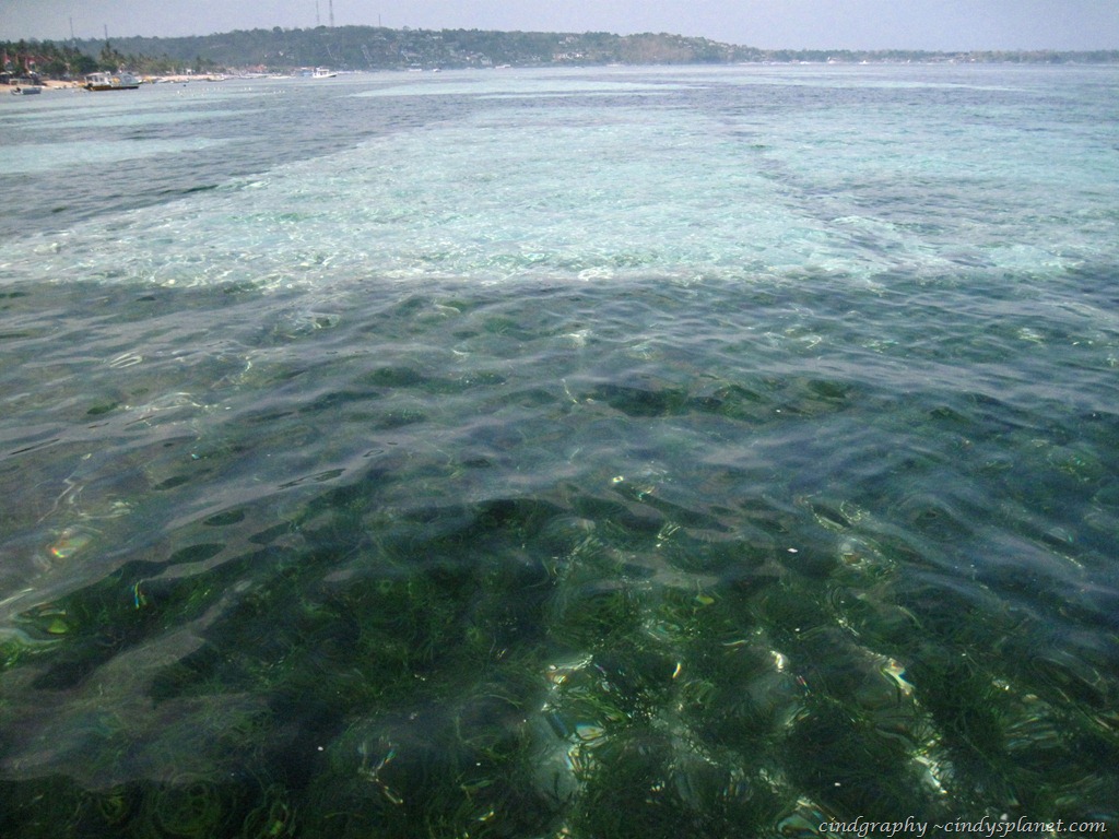 [DPP1020%255B4%255D.jpg.webp]