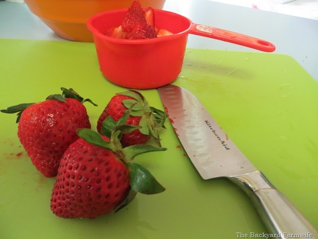 [strawberry%2520rhubarb%2520crumb%2520pie%252006%255B6%255D.jpg]