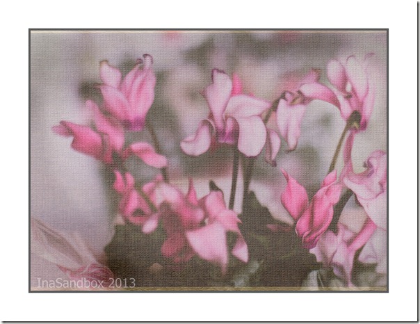 Cyclamen with pdpa rice paper texture