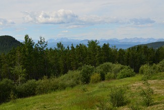 from steamboat mountain summit