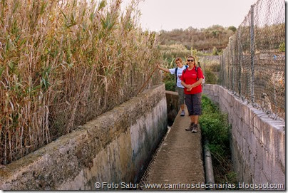 6638 Circular a Firgas-Ruta 4(Acequia Real) 6638 Circular a Firgas-Ruta 4(Acequia Real)