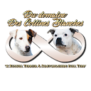 Image Google de collines blanches