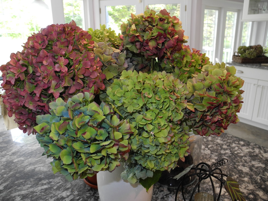 [image%255B171%255D.png]