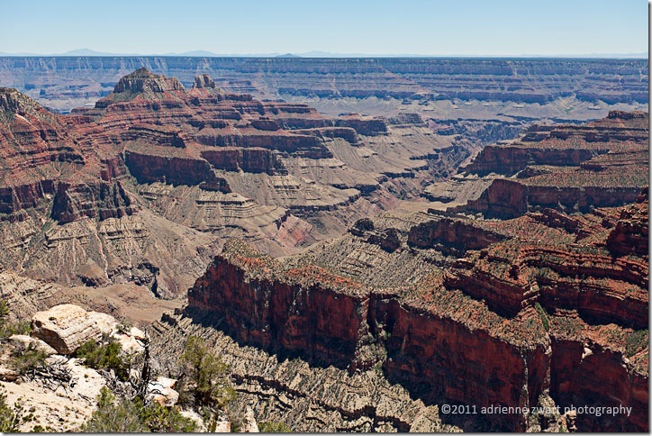 North Rim Grand Canyon - Photo by Adrienne Zwart