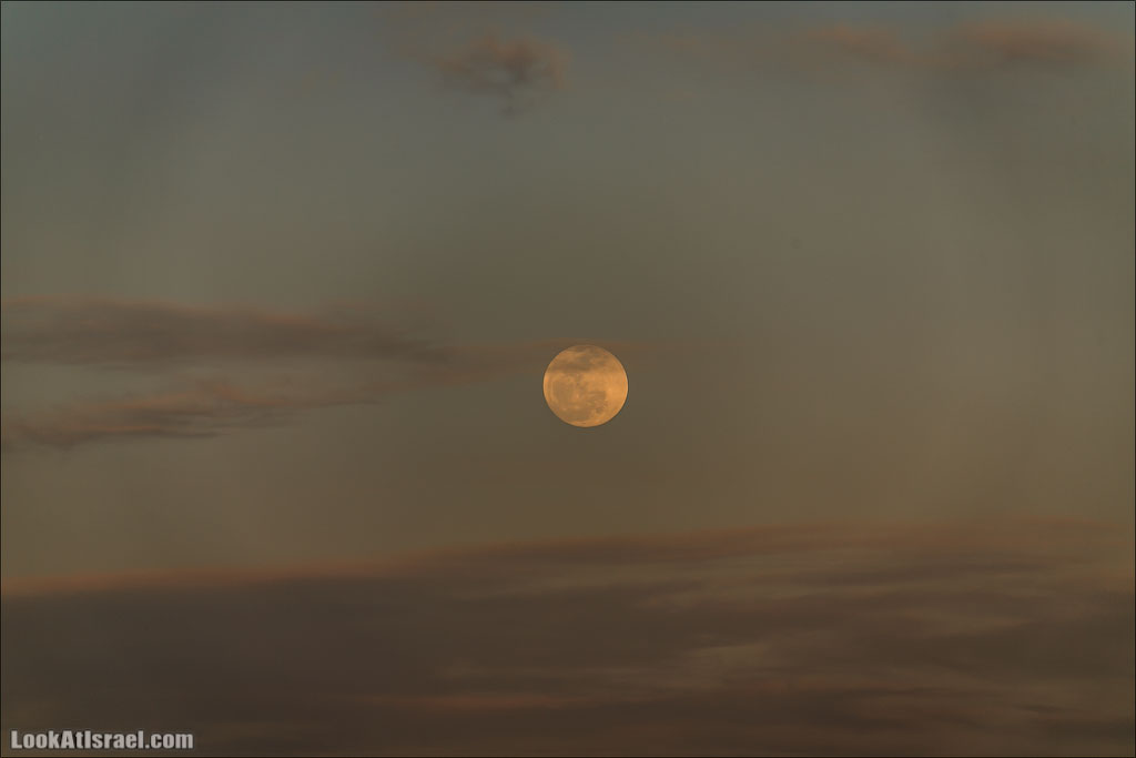 LookAtIsrael.com: Фото-блог о путешествиях по Израилю. Тель Авив, Иерусалим, Хайфа В ту ночь обещали особо красивое, красное лунное затмение, но… увы и ах - в Израиле его не было видно 