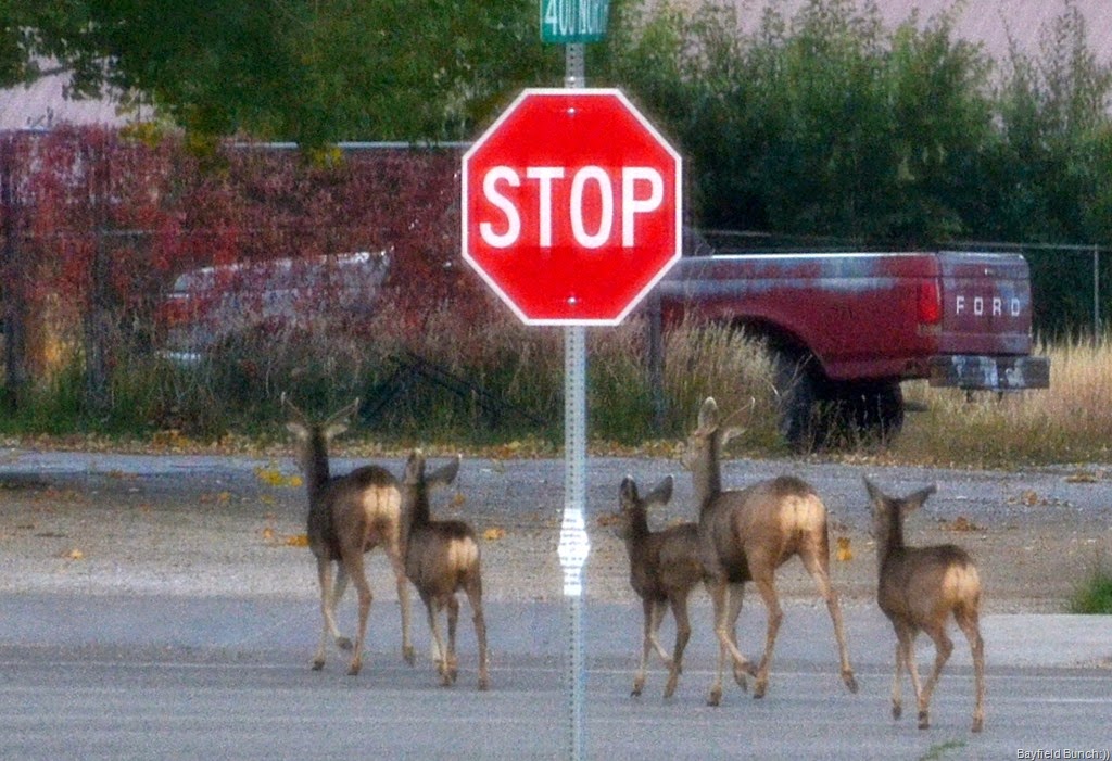 [DSC_0005%255B9%255D.jpg]