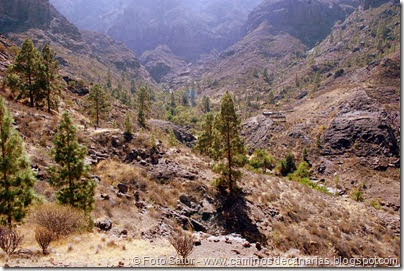 6733 Carrizal Tejeda-La Aldea(Barranco Vigaróe) 6733 Carrizal Tejeda-La Aldea(Barranco Vigaróe)
