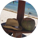 Svetlana S profile picture