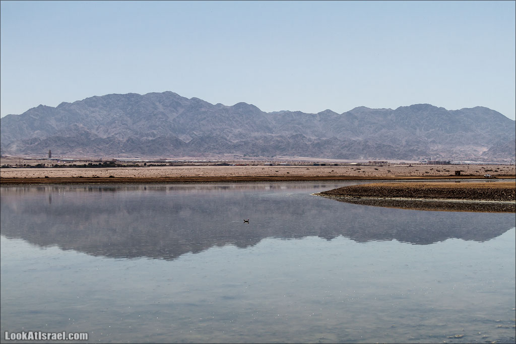 LookAtIsrael.com - Фото путешествия по Израилю | Отражения Эйлата