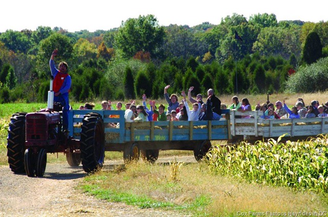 [Cox%2520Farms%2520Famous%2520Hayrides%2520in%2520DC%255B9%255D.jpg]