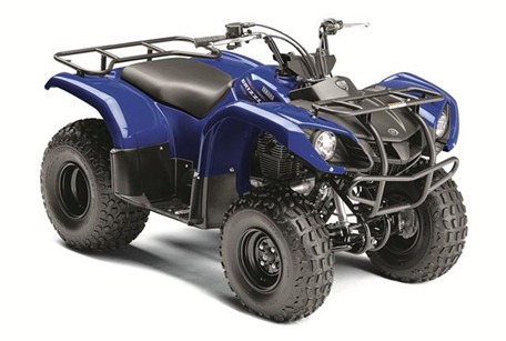 Grizzly 2012 atv