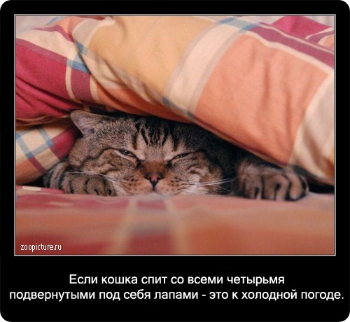 [clip_image061%255B3%255D.jpg]
