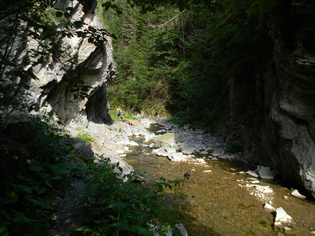 [DSCN42233.jpg]